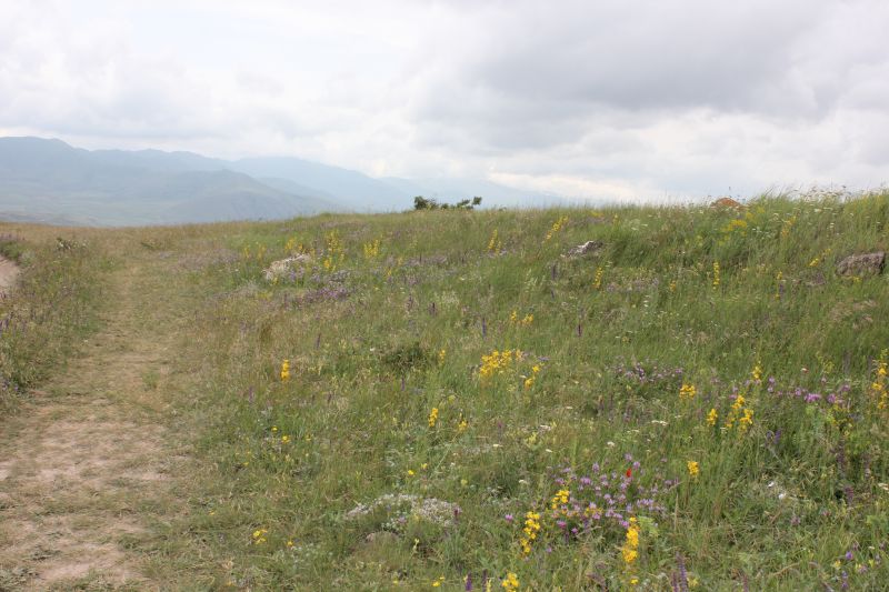 ZMG_0701_2831529.JPG