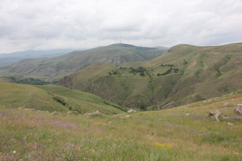 ZMG_0701_2831829.JPG