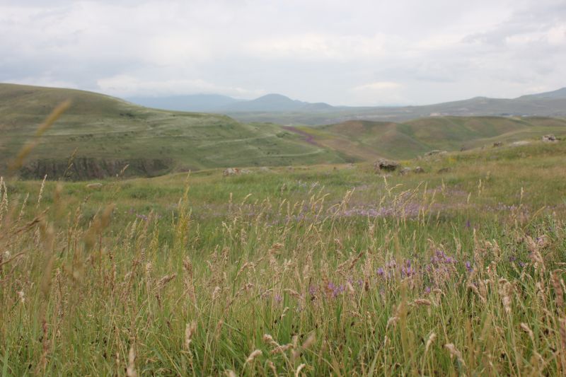 ZMG_0701_2832729.JPG