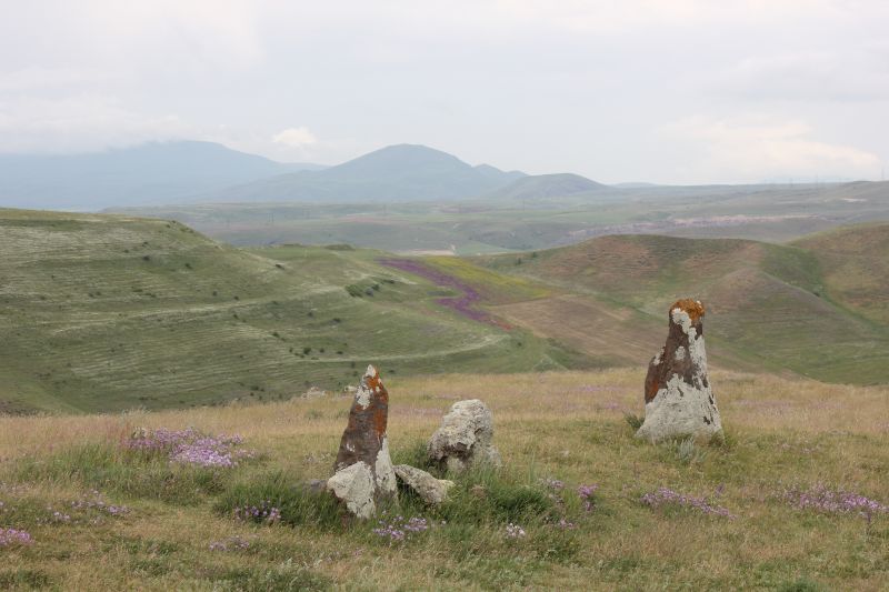 ZMG_0701_2834129.JPG