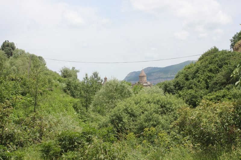 ZMG_0701_2837129.JPG