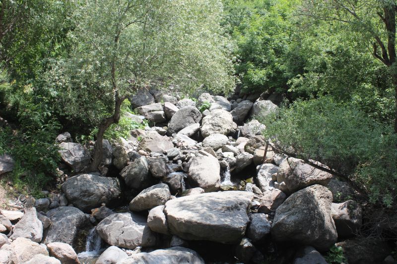 ZMG_0701_284429.JPG