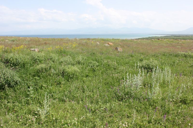 ZMG_0701_2852029.JPG