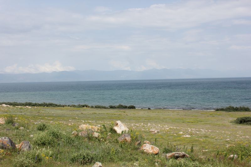 ZMG_0701_2854129.JPG