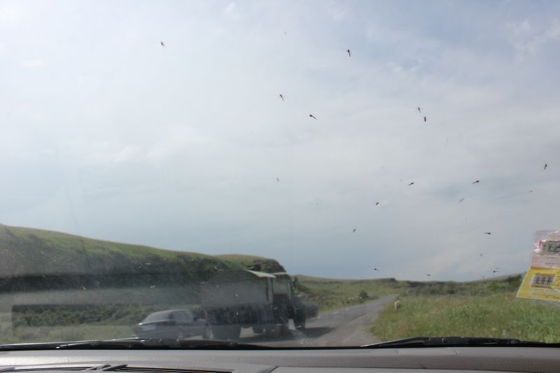ZMG_0701_2855329.JPG