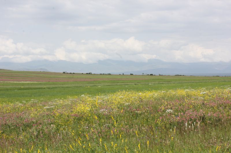 ZMG_0701_2855829.JPG
