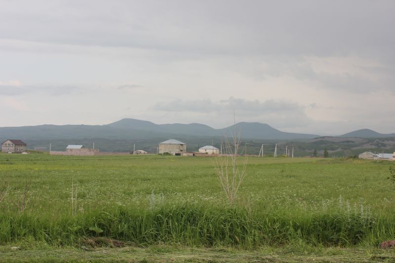 ZMG_0701_2859929.JPG