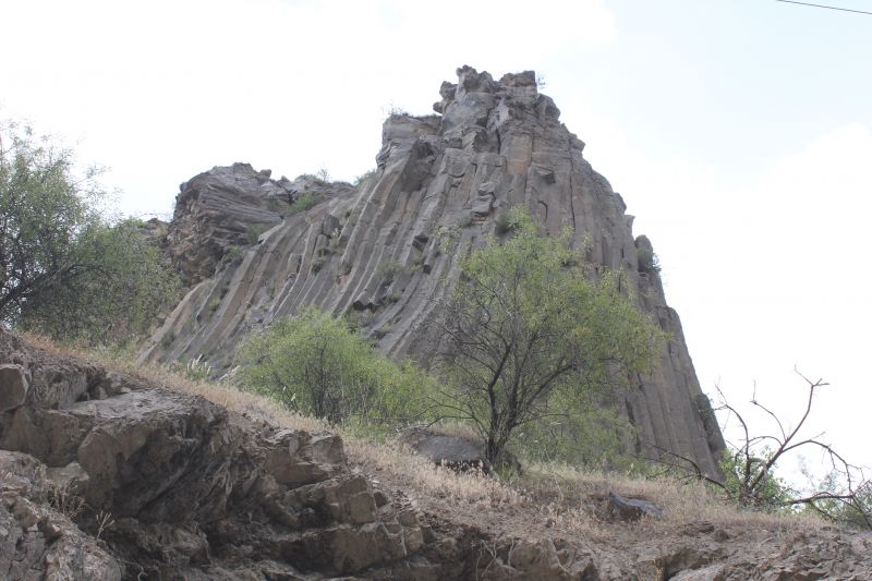 ZMG_0701_288329.JPG