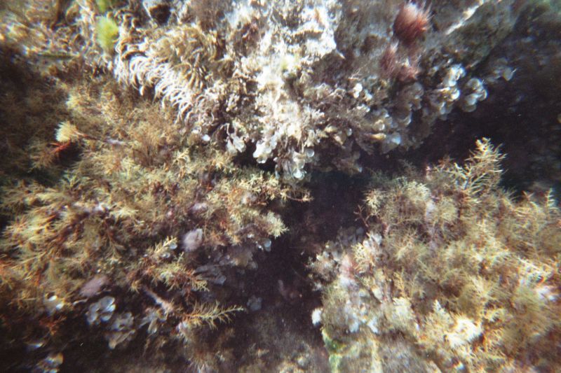 Zimm001_0A_281029.jpg