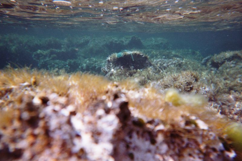 Zimm001_0A_281229.jpg