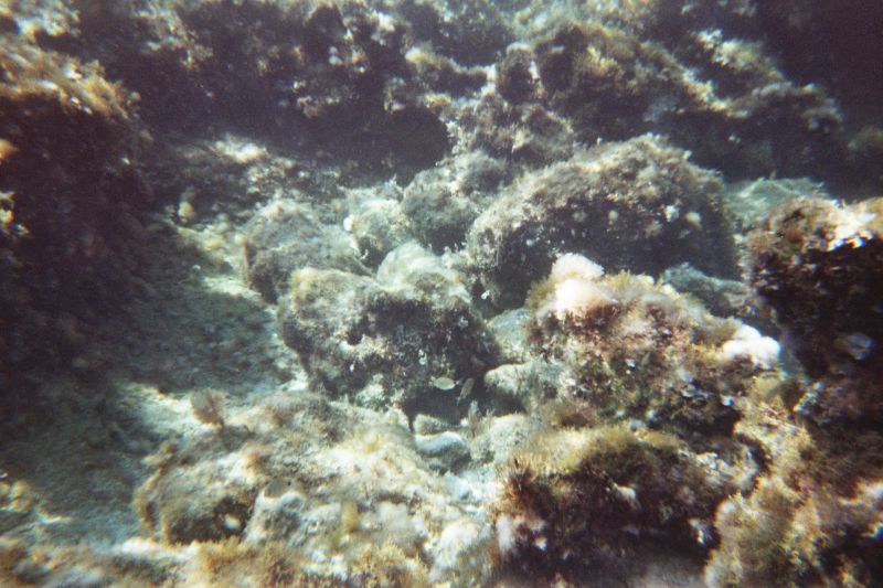 Zimm001_0A_281329.jpg