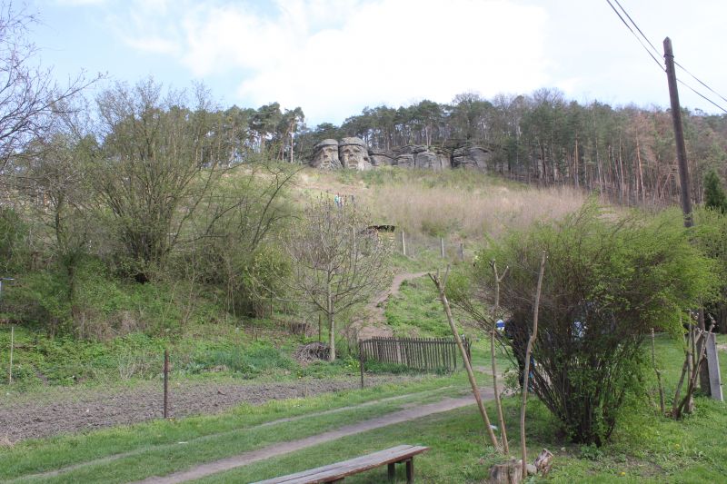 aIMG_9957_28129.JPG