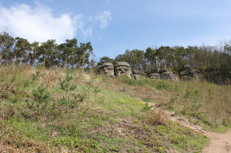 aIMG_9957_28429.JPG