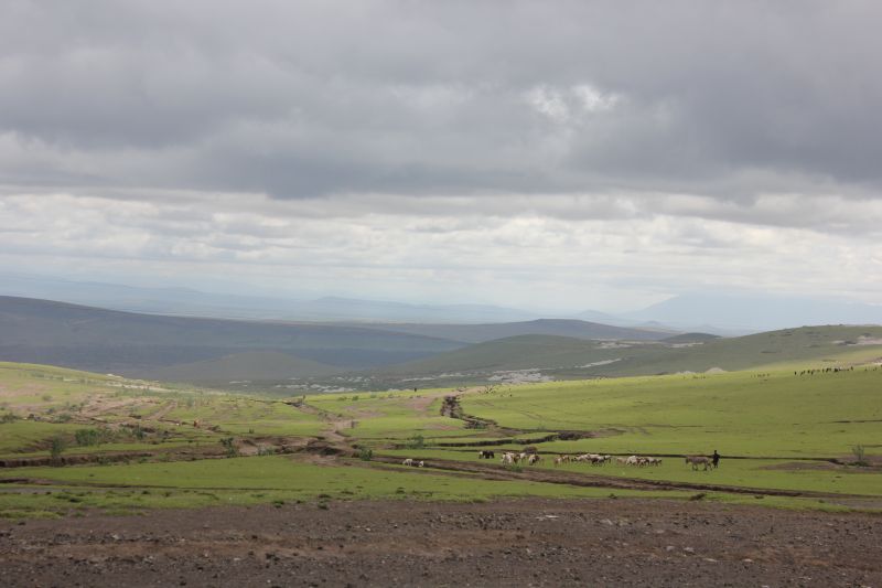 ba01_283529.JPG