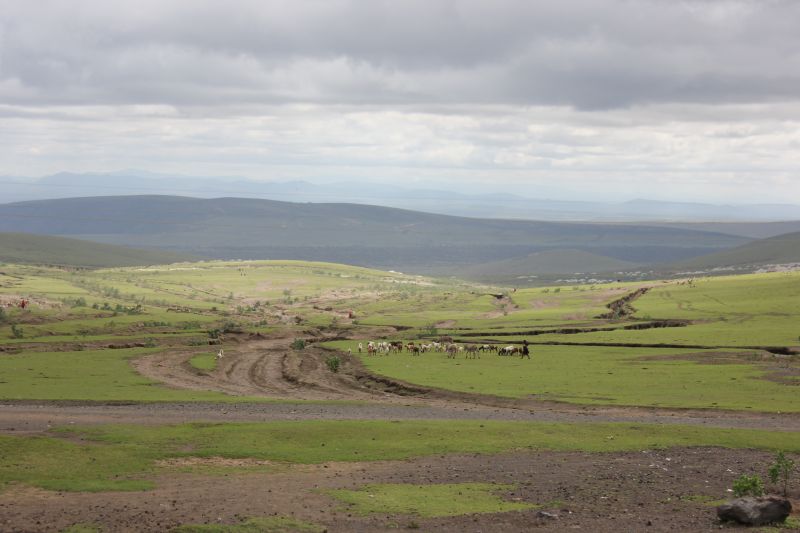 ba01_283629.JPG