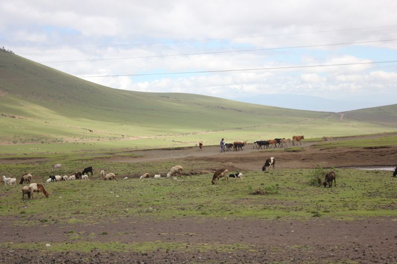 ba01_284129.JPG