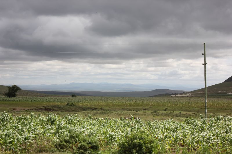ba01_284829.JPG