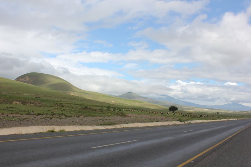 ba01_285429.JPG
