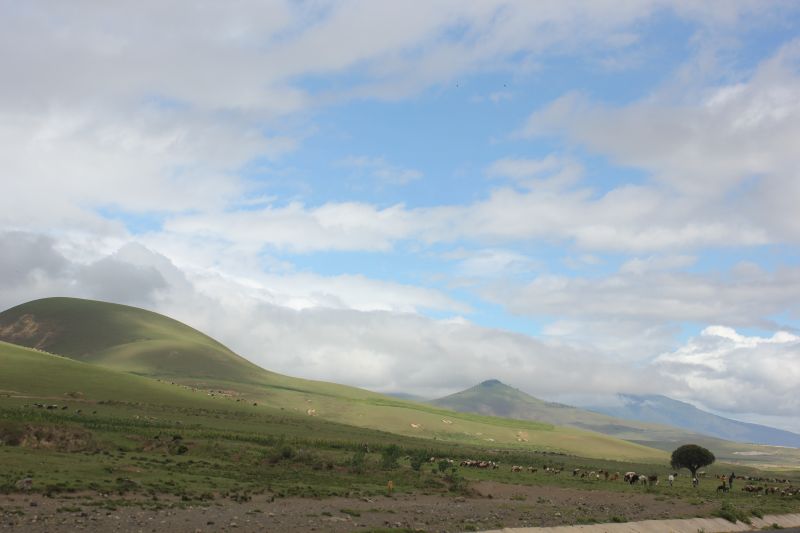 ba01_285829.JPG