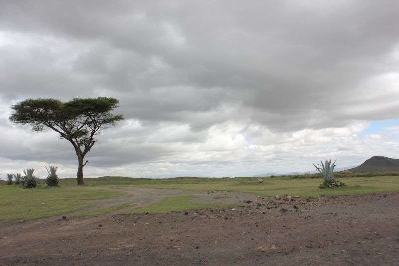 ba01_289129.JPG