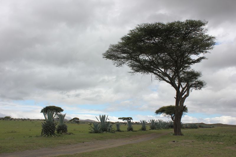 ba01_289229.JPG