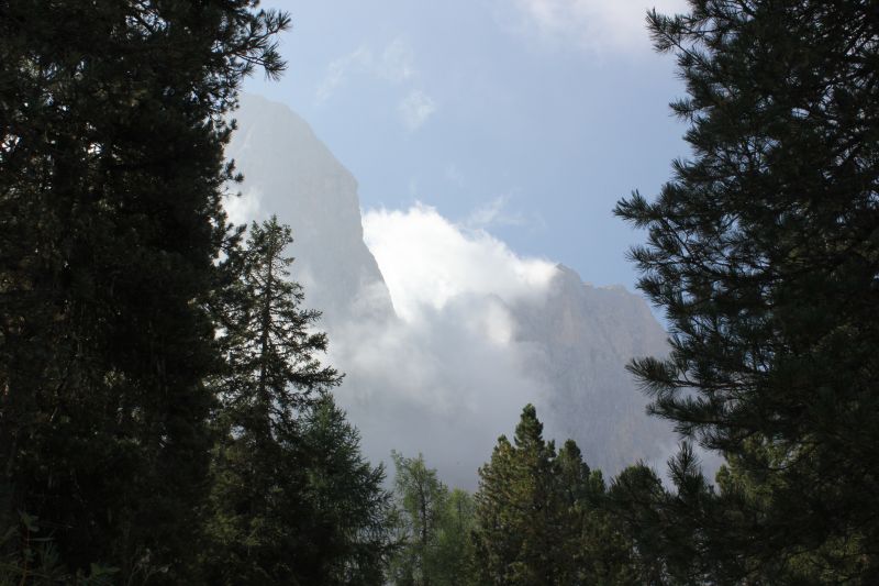p018.JPG