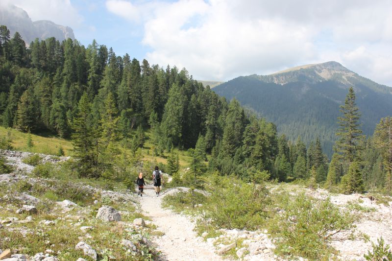 p090.JPG
