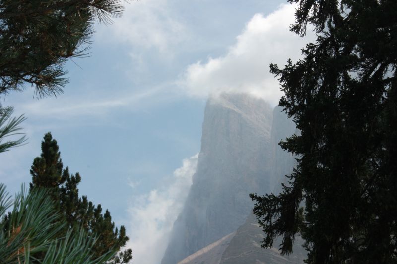 p120.JPG