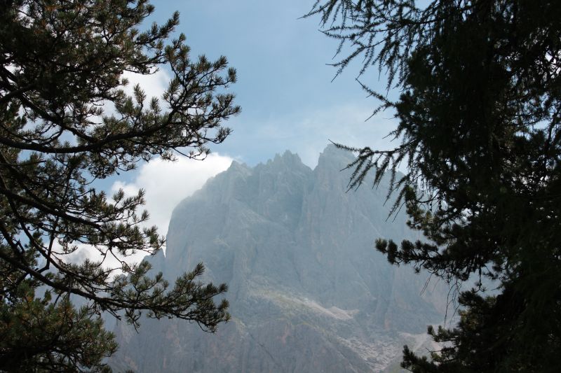 p125.JPG