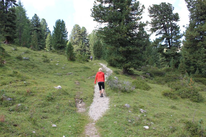 p134.JPG