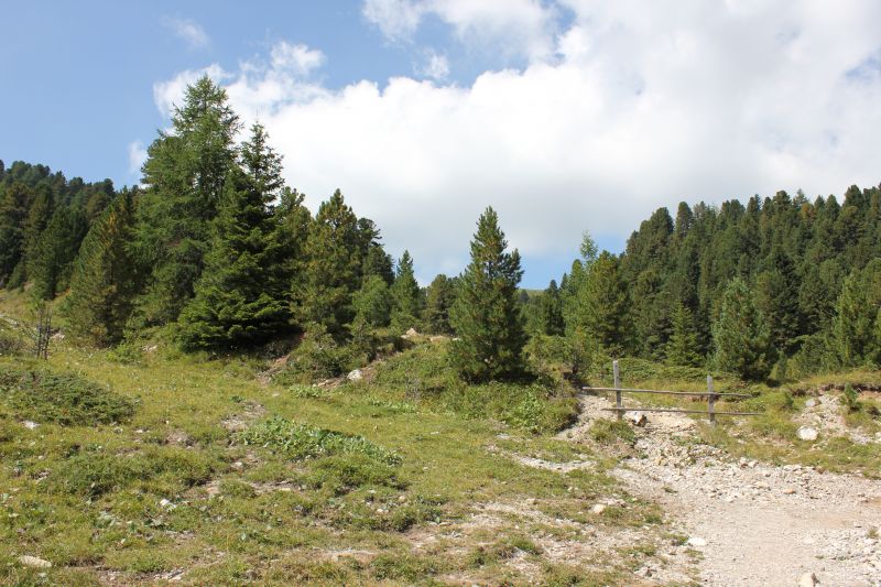 p148.JPG