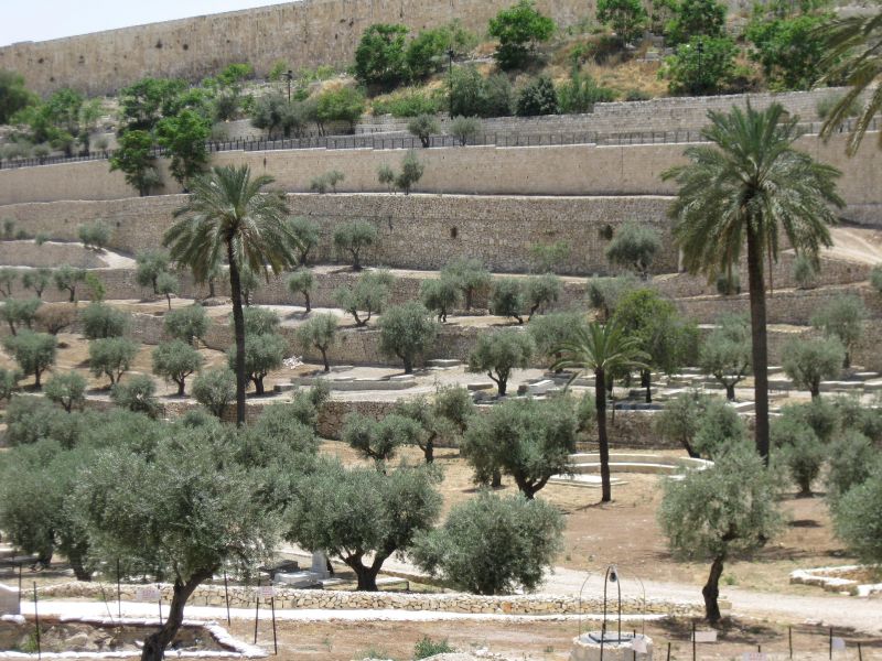 xIMG_3510_281029.JPG