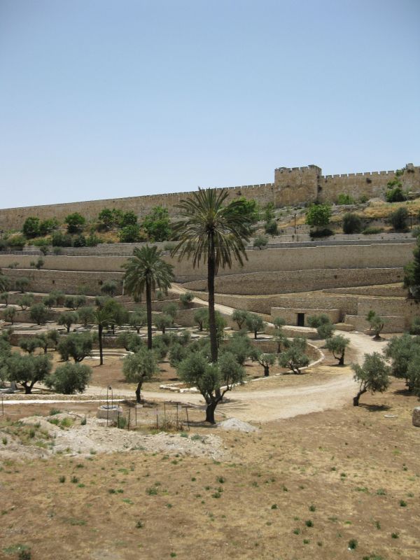 xIMG_3510_281129.JPG