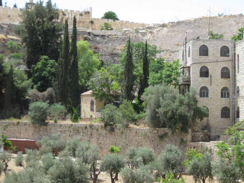xIMG_3510_281229.JPG