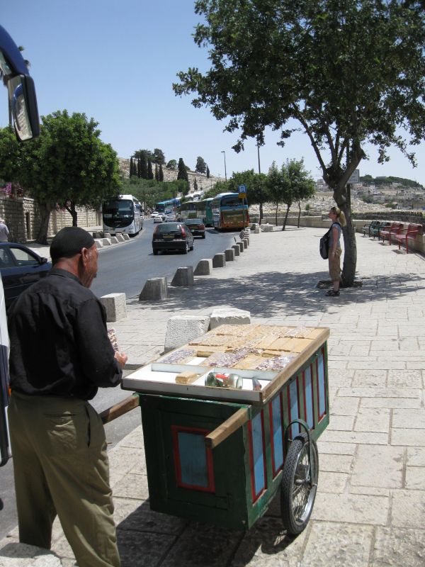 xIMG_3510_281329.JPG