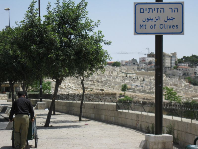 xIMG_3510_281529.JPG