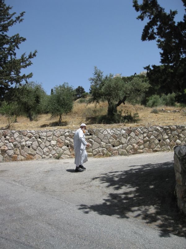 xIMG_3510_281829.JPG