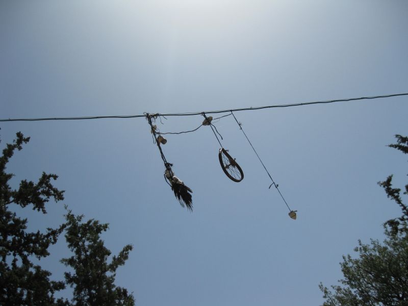 xIMG_3510_281929.JPG