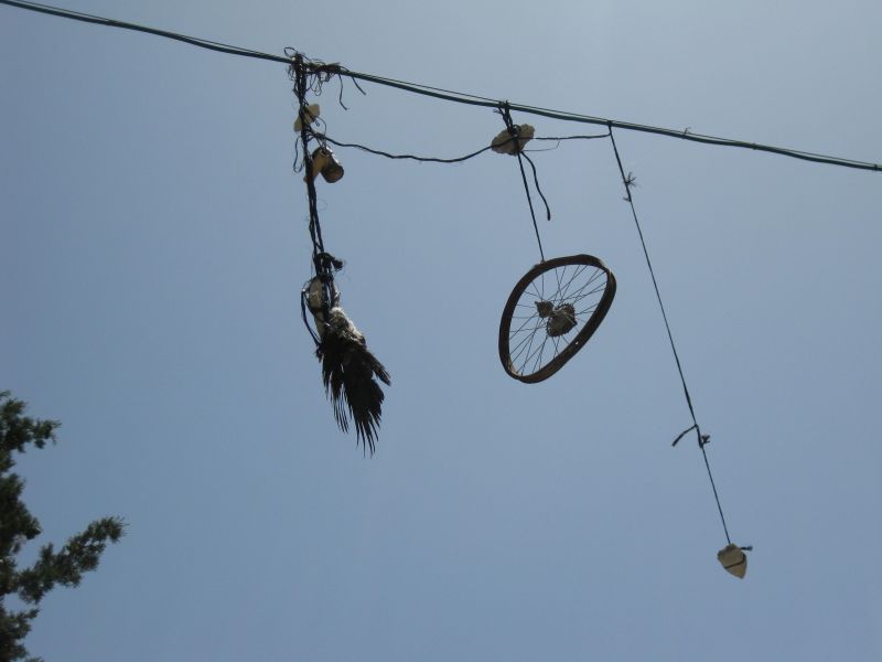 xIMG_3510_282029.JPG
