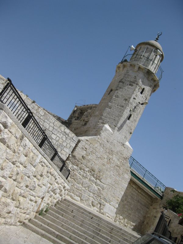 xIMG_3510_282129.JPG