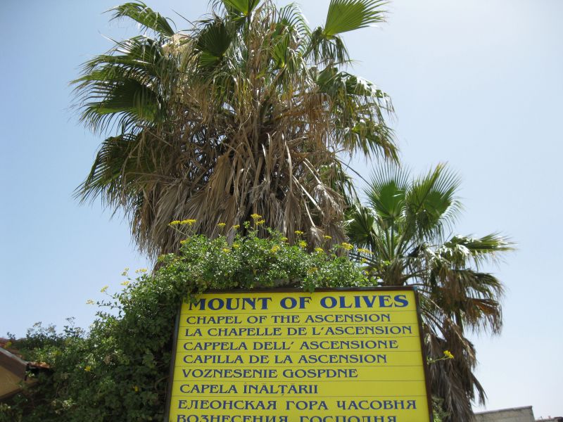xIMG_3510_282229.JPG