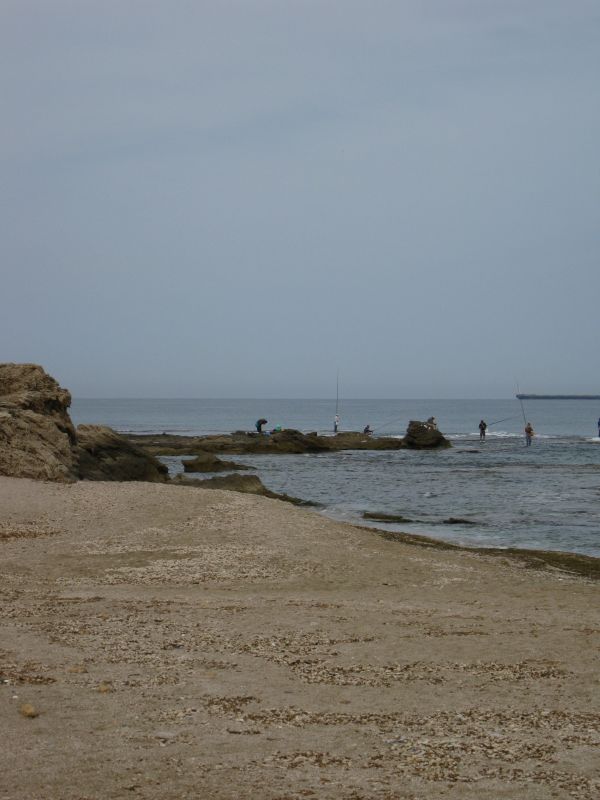 xIMG_3510_28229.JPG