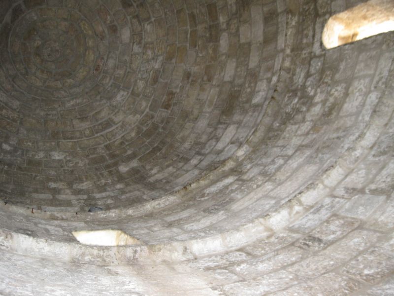 xIMG_3510_282429.JPG
