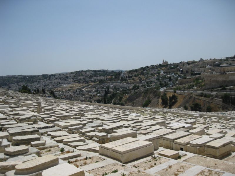xIMG_3510_282829.JPG