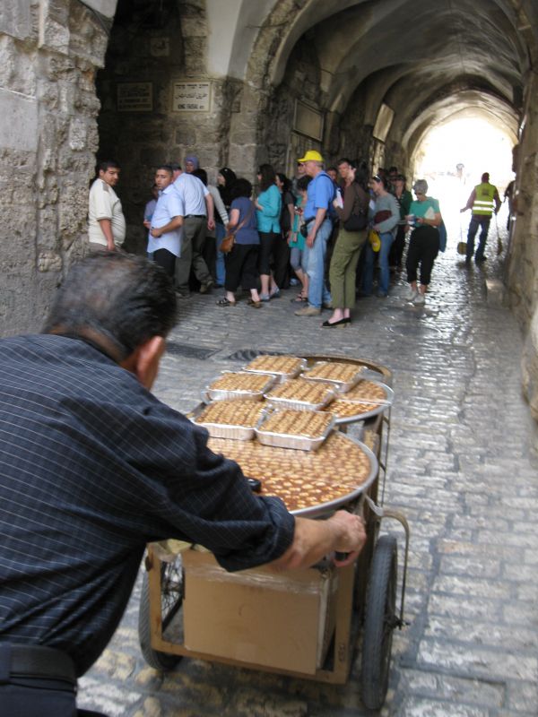 xIMG_3510_283229.JPG