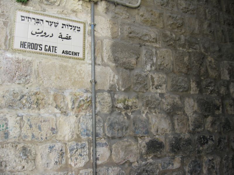 xIMG_3510_283529.JPG