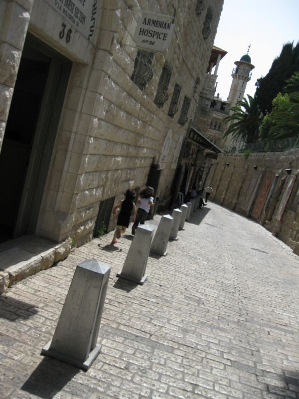 xIMG_3510_284129.JPG
