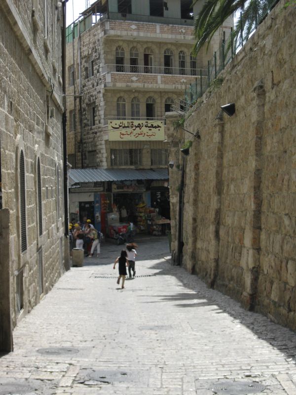 xIMG_3510_284229.JPG