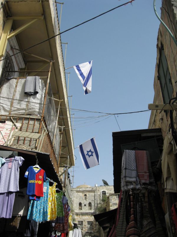 xIMG_3510_284429.JPG