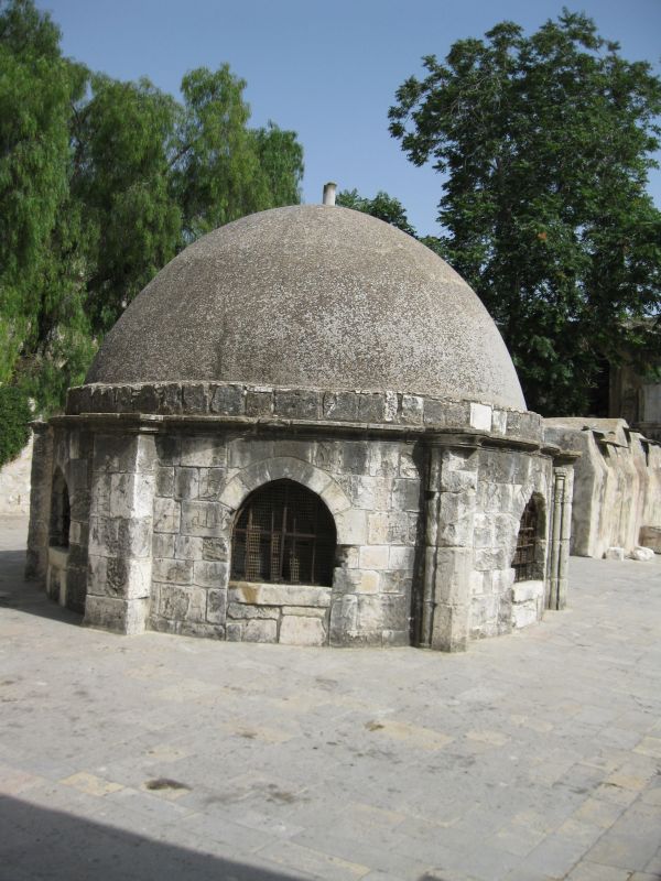 xIMG_3510_285629.JPG